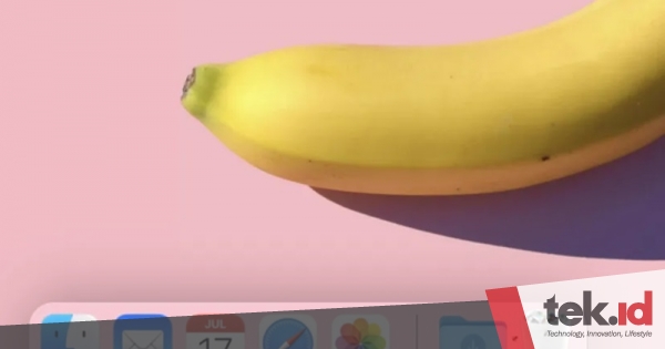 Aplikasi ini akan tampilkan lalat terbang jika Trash macOS&nbsp;penuh